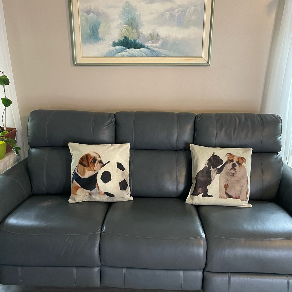 Charming Dog Print Accent Pillows - Set of 2